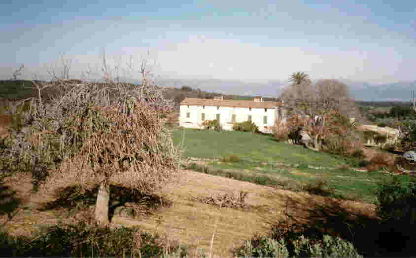 bei Randa