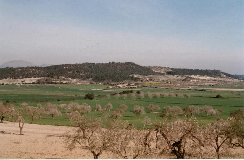 Richtung Sineu