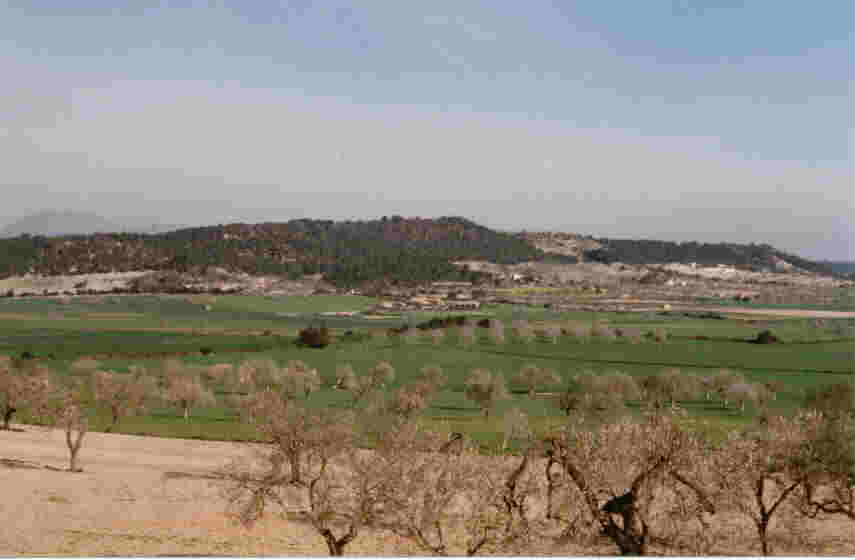 Richtung Sineu