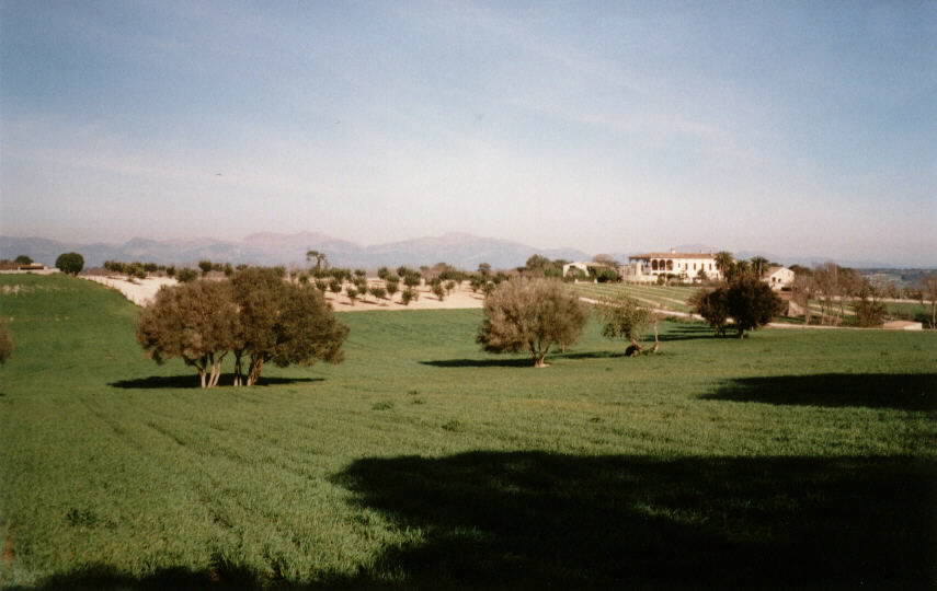 Richtung Sineu