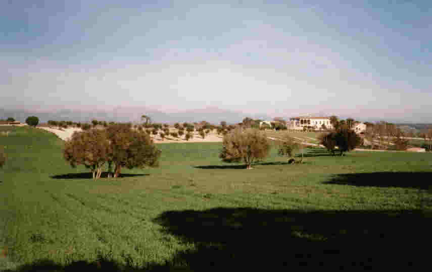Richtung Sineu