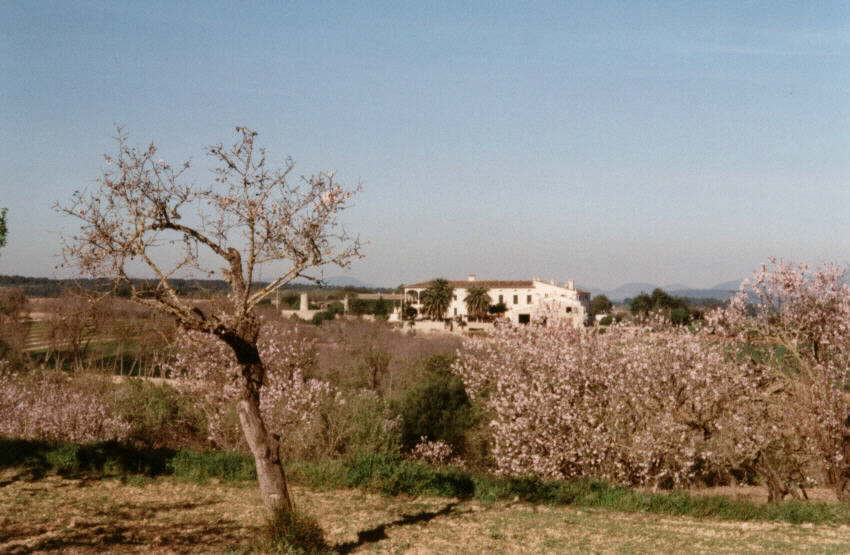 Llanura del Centro