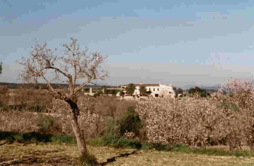 Llanura del Centro