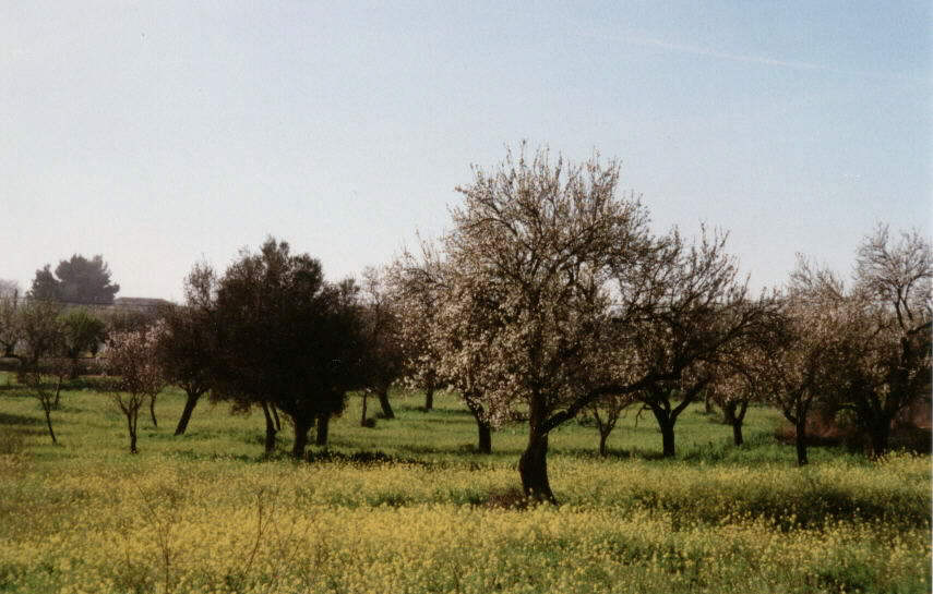 Llanura del Centro