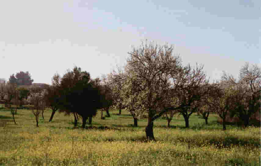 Llanura del Centro