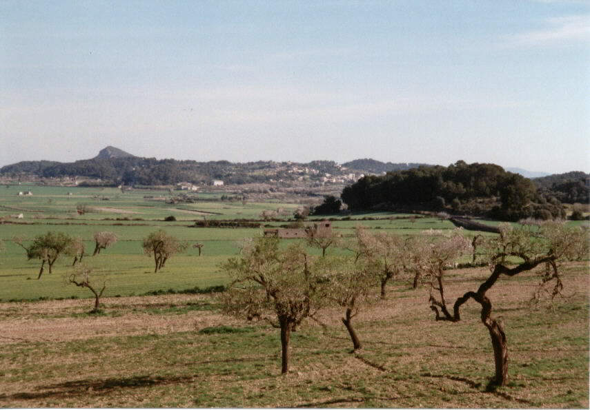 Richtung Inca