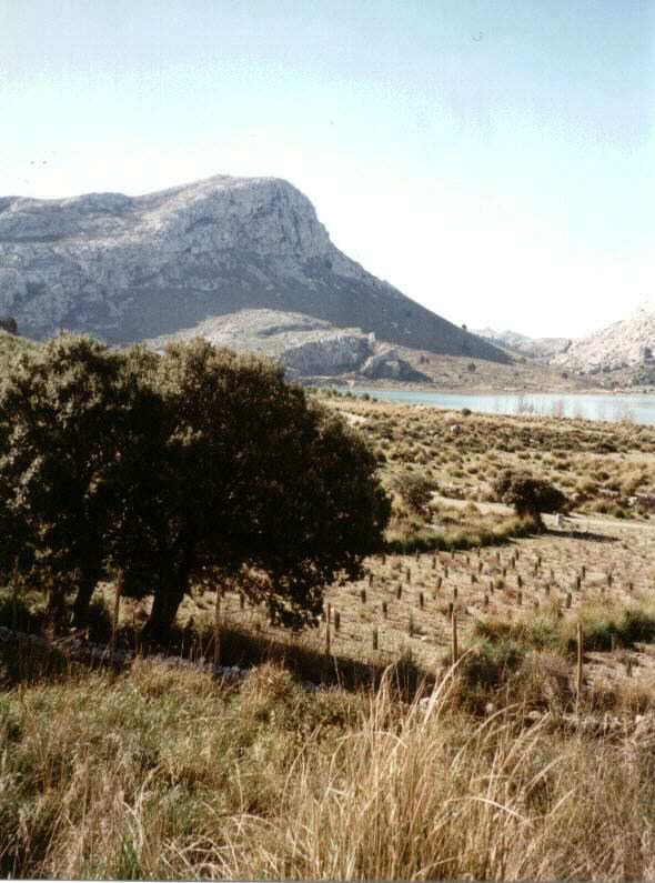 Embalse de Cuber