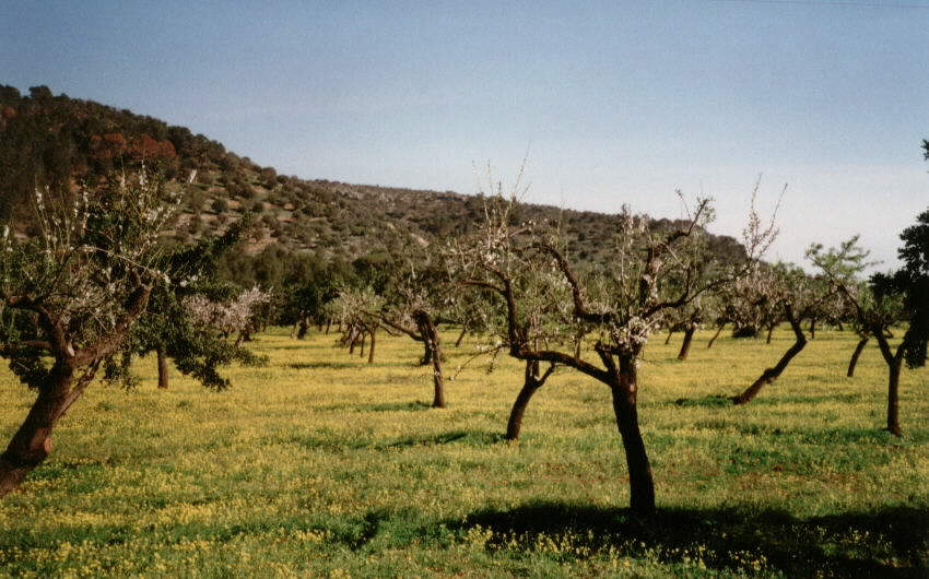 Richtung Palma