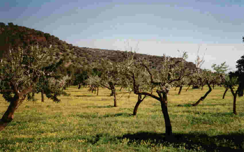 Richtung Palma