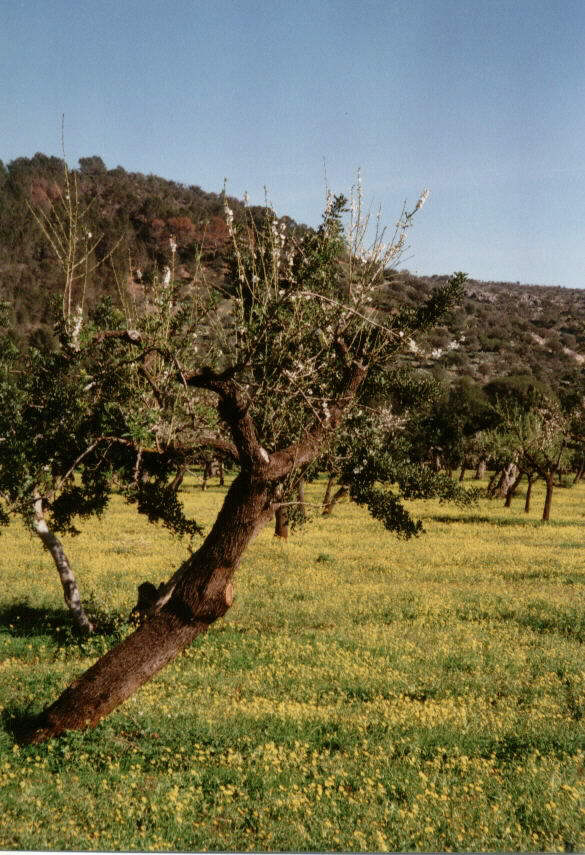 Richtung Palma