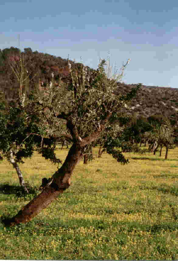 Richtung Palma